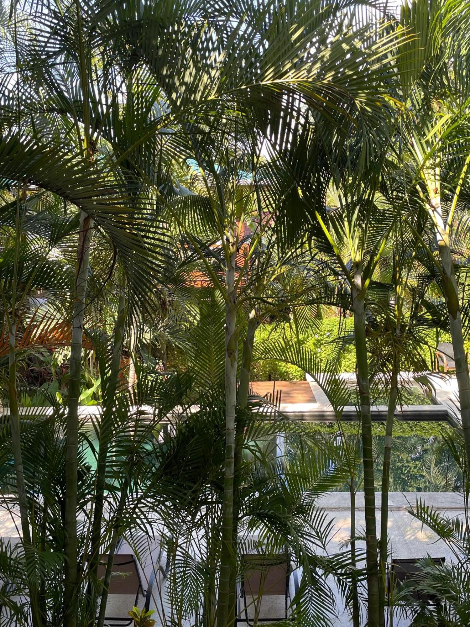Ohana Villas Playa Santa Teresa  Exteriör bild