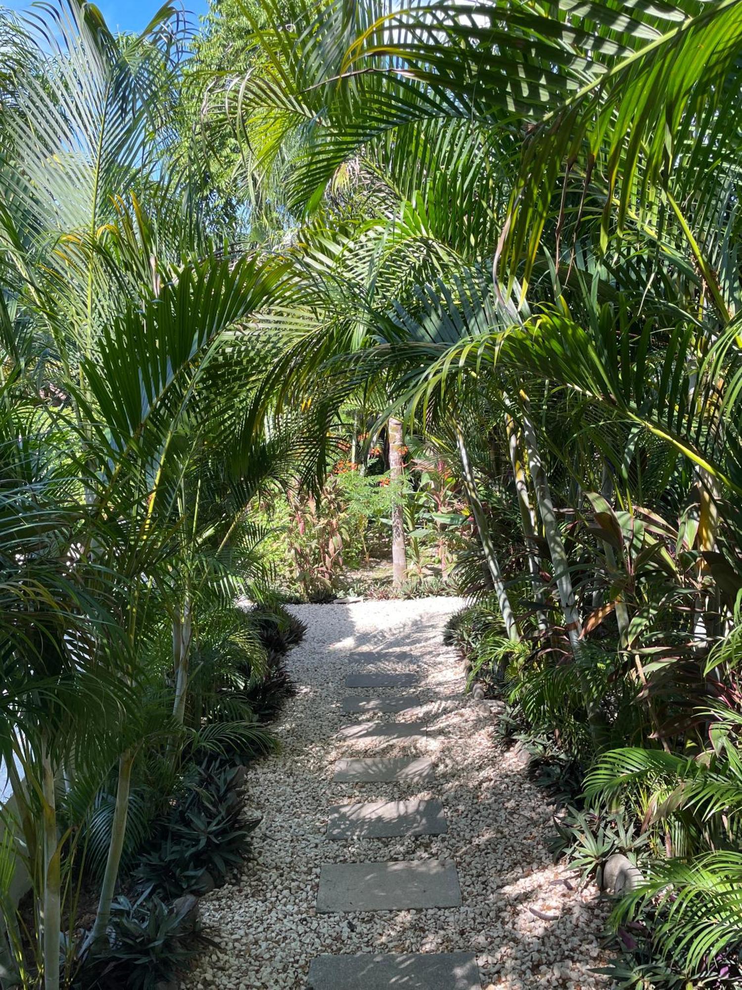Ohana Villas Playa Santa Teresa  Exteriör bild